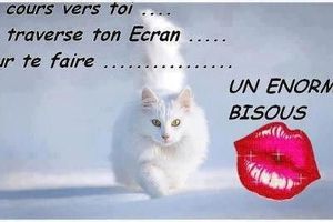 BISOUS.........