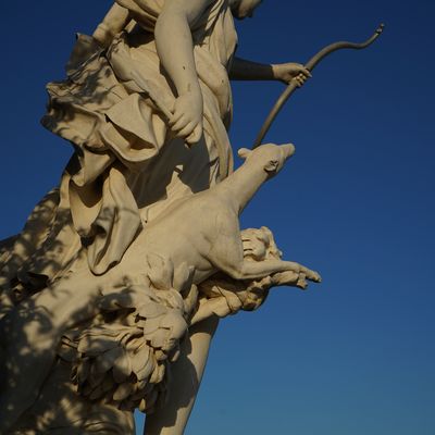 Lumière du soir sur le soir.