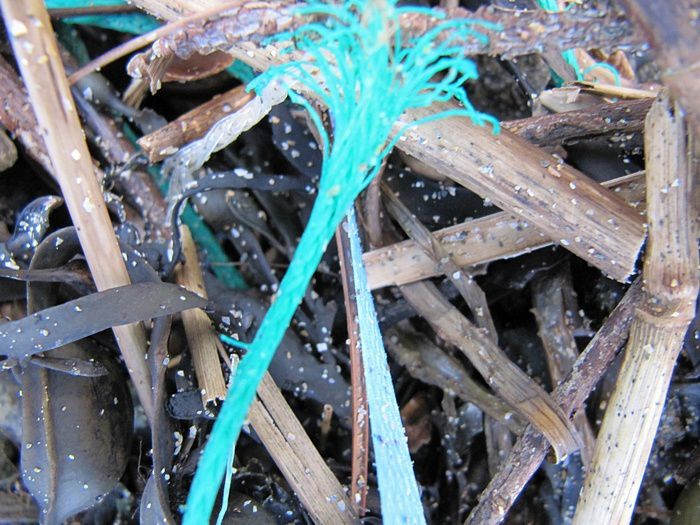 Débris jetés à la Mer et rendus par Elle.