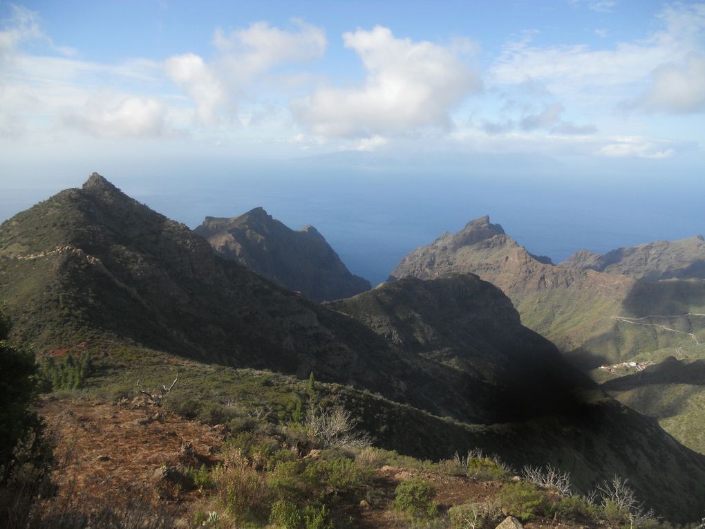 Best of Tenerife