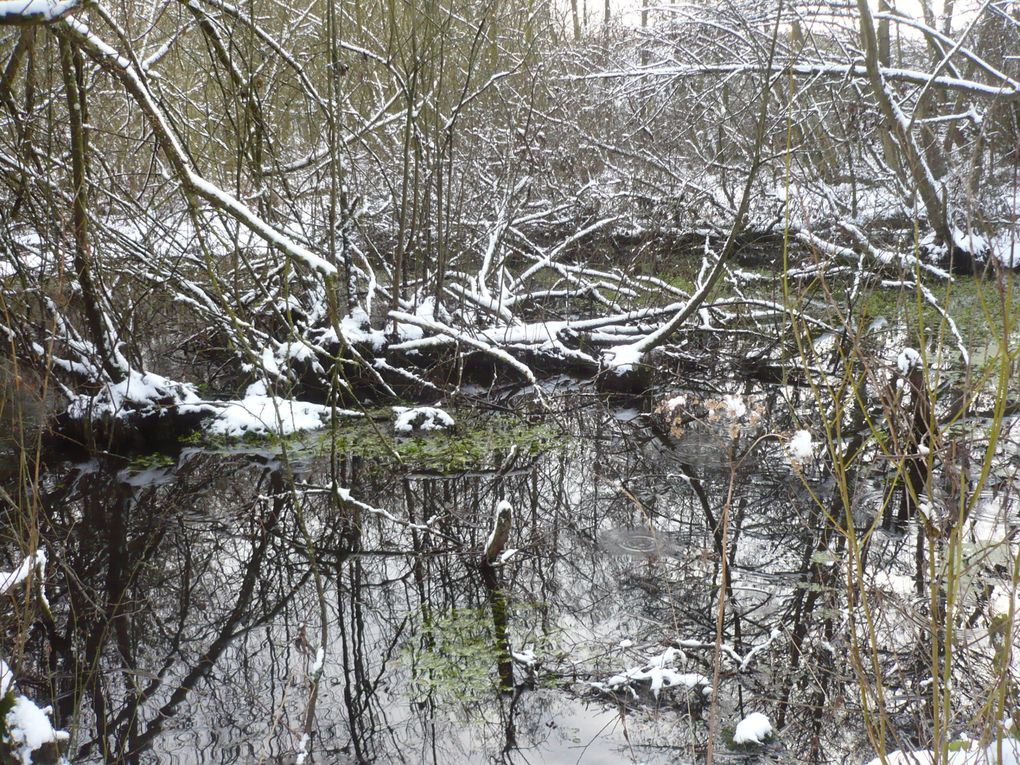 Album - Sorties-Nature