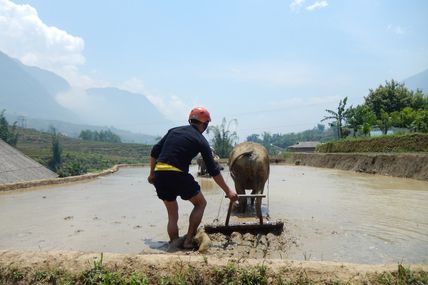 Sapa, chez les Hmongs