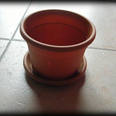 Nouveau petit pot!