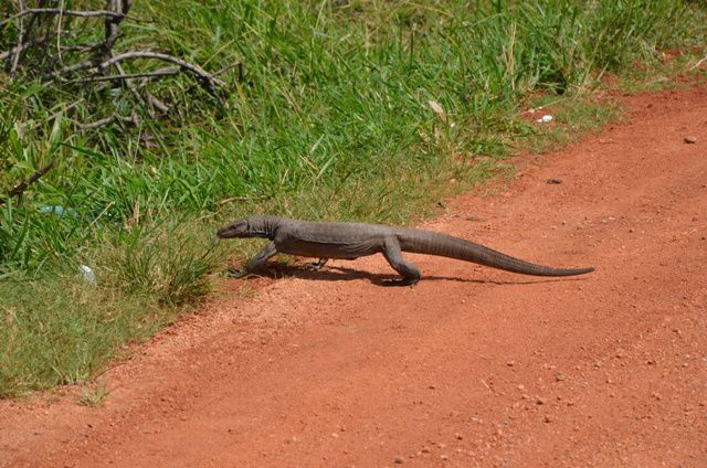 Album - Sri Lanka 1