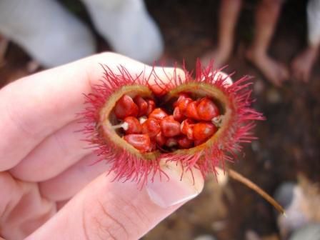 On sera vos yeux et vos oreilles pendant nos dix semaines dans les Southern Highlands pour vous faire decouvrir les splendeurs du Lac Kutubu: ses peuples, ses traditions, sa nature et ses eaux.