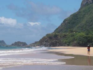 Album - fernando de noronha