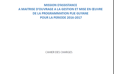 Appel à candidature Assistance à Maitrise d'Ouvrage du PLIE Guyane