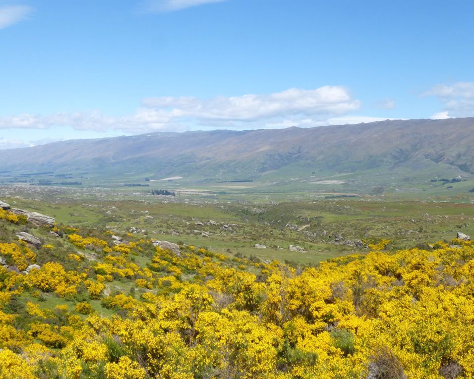 J 83 - 87 (OTAGO RAIL TRAIL)