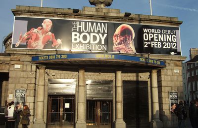 Dublin Jour 6: Human Body Exhibition - Retour