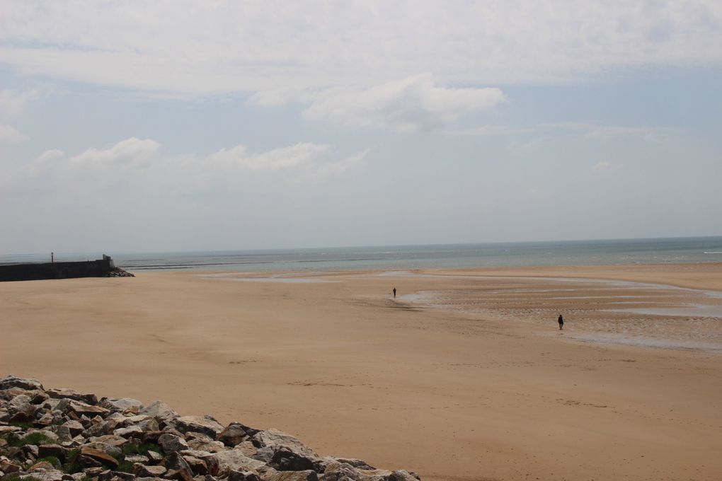 Séjour dans le Cotentin mai 2023