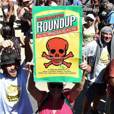 Evaluation européenne du glyphosate: Des copiés-collés d'un rapport de Monsanto qui posent question (DOSSIER)