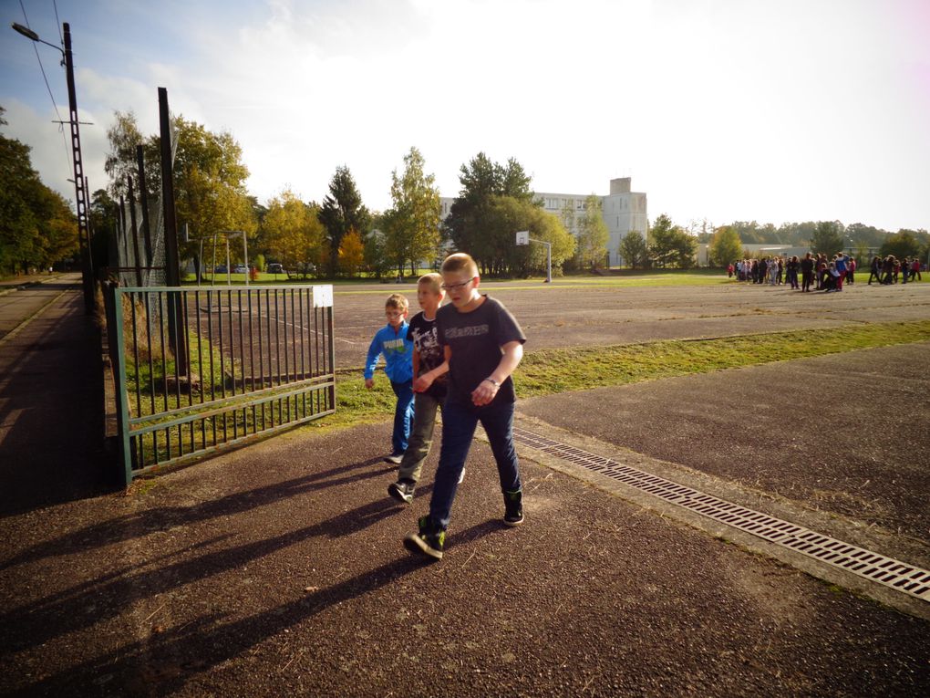 Album - Cross-du-college