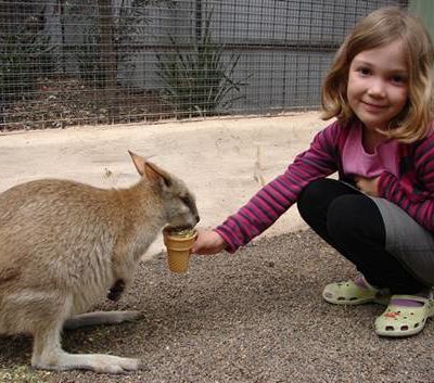 Australie (2) : les animaux