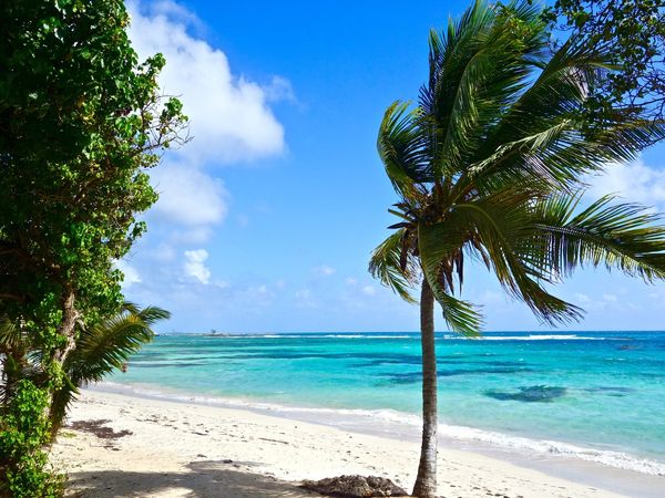 GUADELOUPE (Basse Terre et Terre de Haut) 🇬🇵🇫🇷