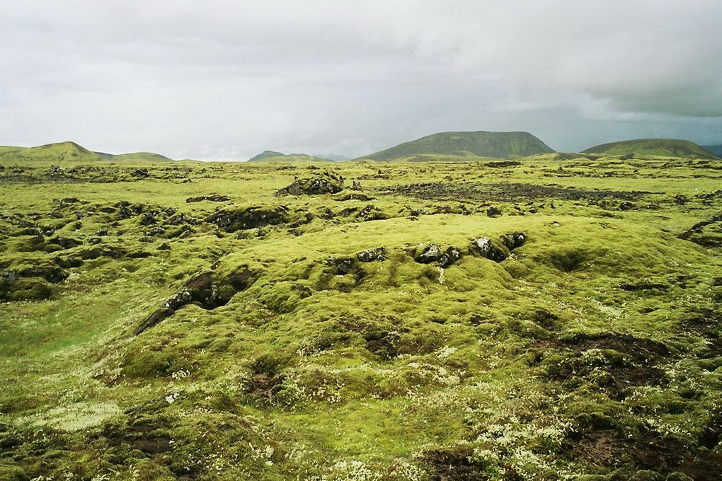 Album - Islande