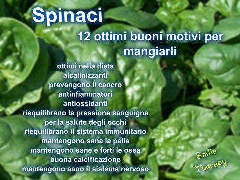 SPINACI e BIETOLA