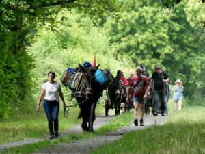 Rando avec les ânes à St Saturnin