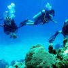 Bucear en el Mar Rojo: centros y resorts orientados al buceo