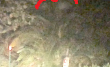 Photos cette femme en Floride a des contacts avec des extraterrestres