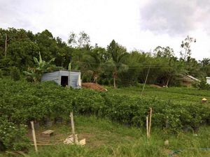 Ben Tre - Tra Vinh - Cai Be