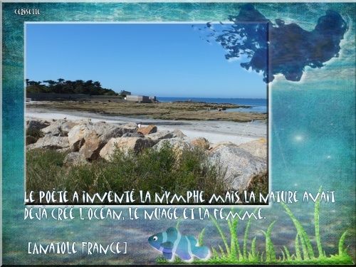 Poeme Ou Citation Tout Pour Decorer Vos Blogs Et La Nature