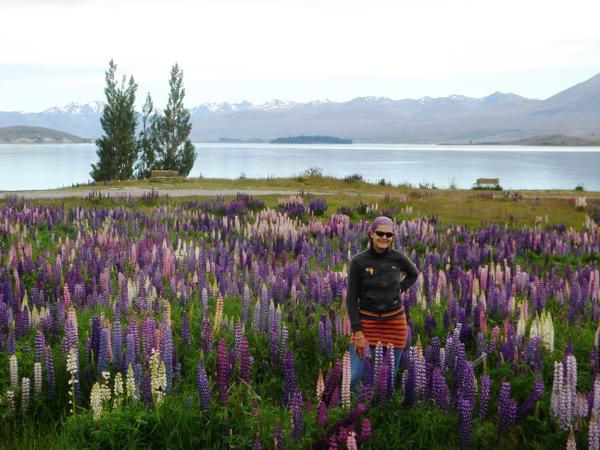 Album - South Island : Alpes-du-sud