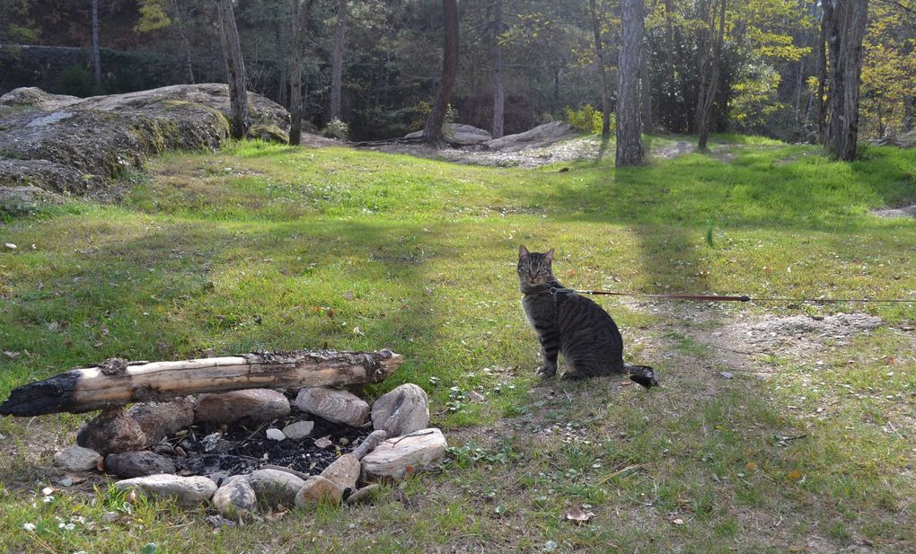 La Collégiale de Bedoues, le parc naturel des Cévennes