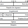 Etude des Protocoles: TCP et UDP