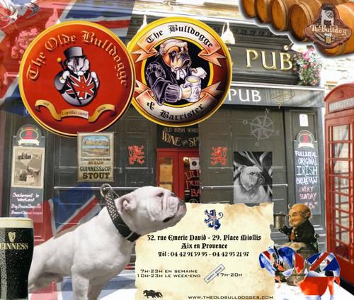 Album - Olde-Bulldogge-pubs-and-logos