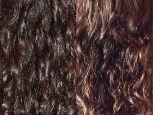 1°) Image 1 : Mes cheveux actuels éclaircis à l'Hibiscus/Mes cheveux colorés au Henné blond Shiraz/Mon idéal couleur; Image 2 : Mes cheveux en Mars 2013/ Mes cheveux aujourd'hui en Avril 2013