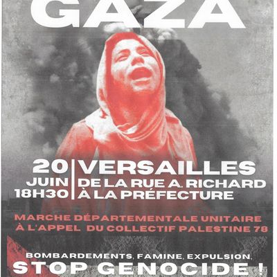 Vendredi 20 juin Marche unitaire pour Gaza 
