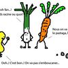 Du plaisir d'aller chercher mes légumes