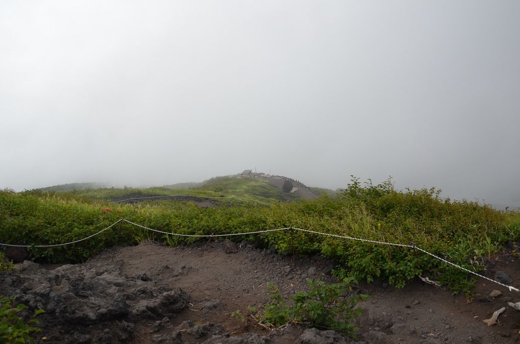 Album - FUJI-SAN