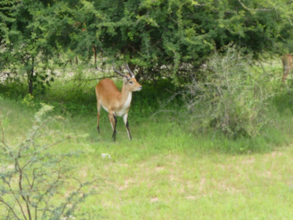 Retour en Namibie