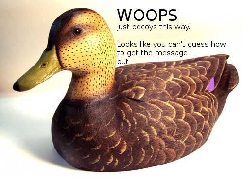 Le fameux canard qu'on obtient en décodant le message de Cicada3301 par décalage de 4.