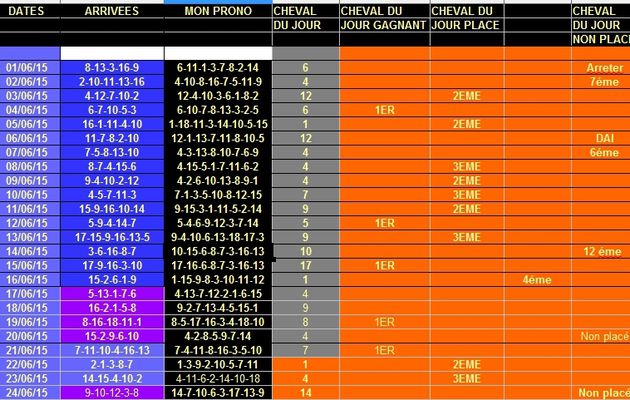 Bilan de mon cheval du jour au 25/6/15