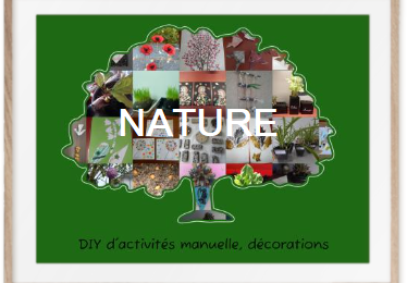DIY d'activités manuelle, décorations, plantations et recettes sur le thème de la Nature, Fleurs et OiseauxActivités sur le thème de Nature et plantes
