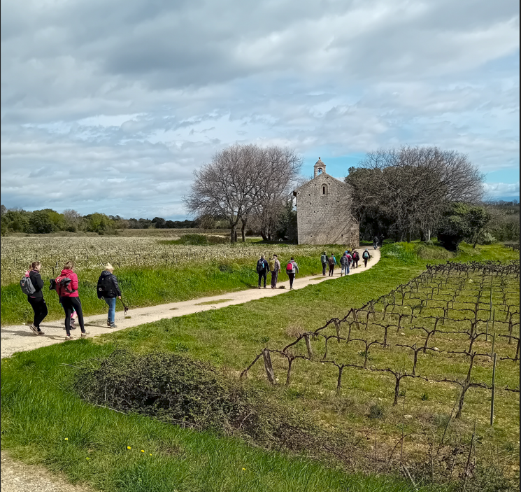 RANDO du DIMANCHE 24 Mars 2024 à AIGUEZE (gard)