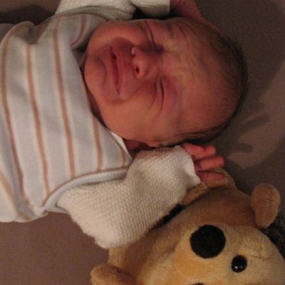 Vincent Shot 2: Trop de hérissons tue le hérisson !