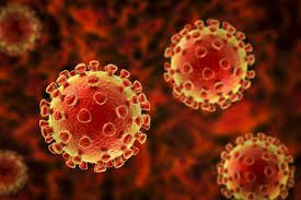 Coronavirus : Pourquoi le Conseil Scientifique recommande une rentrée scolaire en septembre