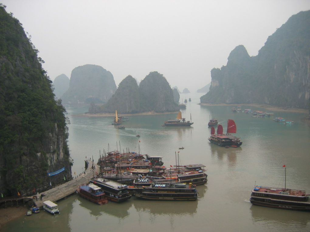 le viet nam est un pays très diversifié de part sa forme allongé et surtout côtier et nous pouvons toujours sentir une différence entre le nord et le sud