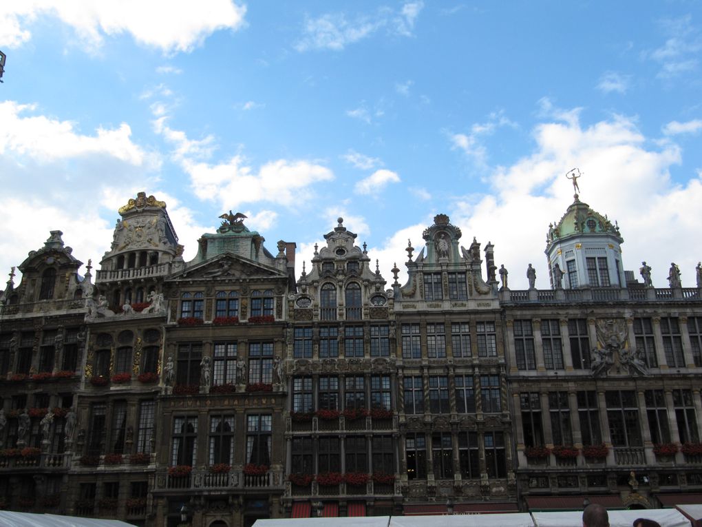 Quelques clichés de la Grand-Place de Bruxelles ensoleillée.