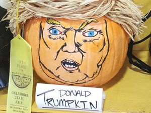 The wildest pumpkin for Halloween