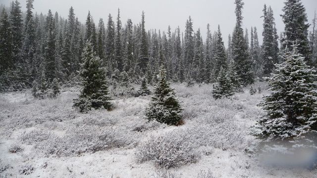 Album - -o-BANFF