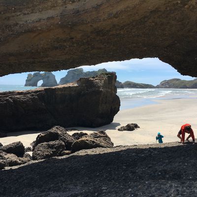 Coup de coeur pour Wharariki Beach ~ Nouvelle Zélande