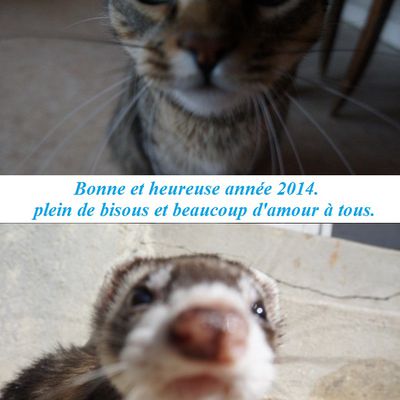 Bonne année à tous