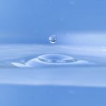 Sécheresses : comment économiser l'eau ?