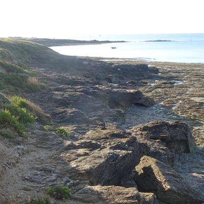 Projet: Morbihan du 17 au 24 avril 2021