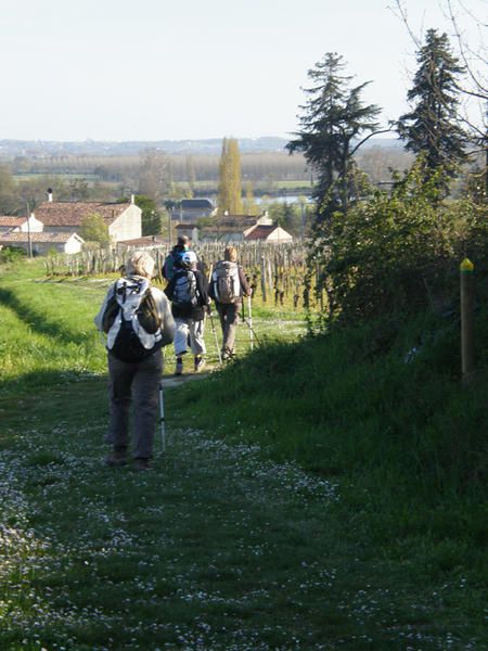 Une très agréable balade autour de Villegouge en partant de Fronsac