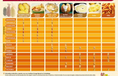 Différente variété de pommes de terre 